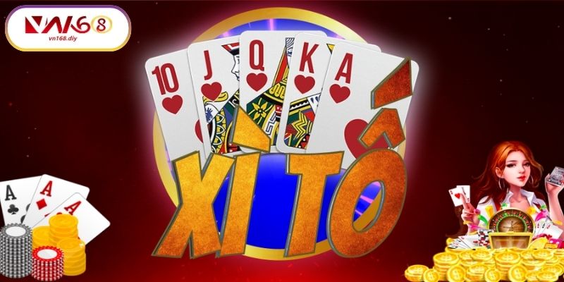 Meo-Nang-Cap-Trinh-Đo-Khi-Choi-Xi-To