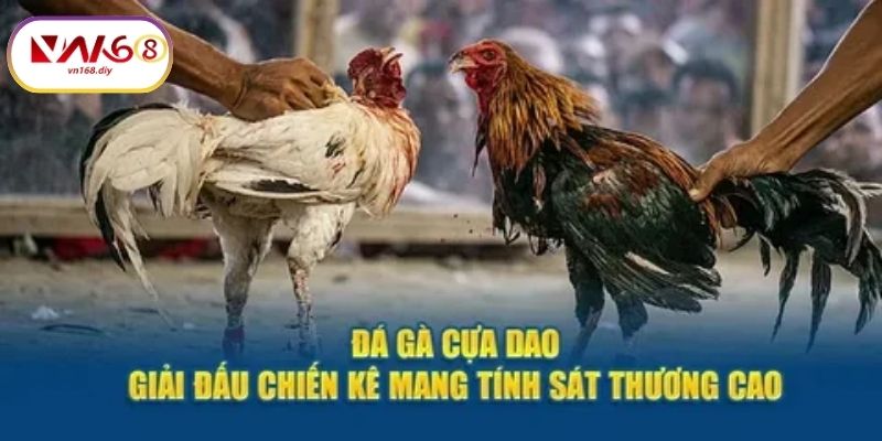 Bi-Quyet-Tang-Co-Hoi-Thang-Khi-Cuoc-Đa-Ga-VN168