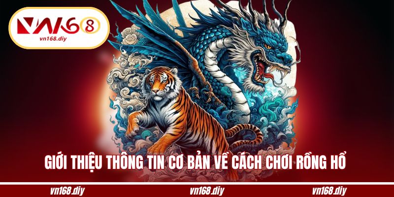 Giới thiệu thông tin cơ bản về cách chơi rồng hổ