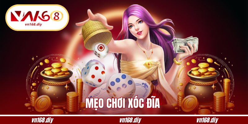 Mẹo Chơi Xóc Đĩa Từ Cao Thủ Giúp Bạn Đọc Nhịp Chuẩn Xác