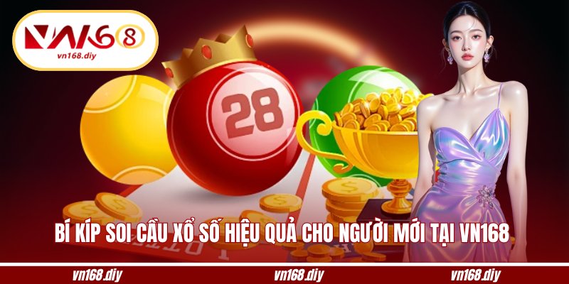 Bí kíp soi cầu xổ số hiệu quả cho người mới tại VN168